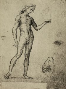 Erkek çıplak çalışma; Raphael