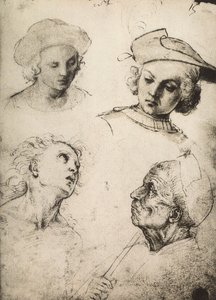 Dört erkek yüzünün incelenmesi; Raphael