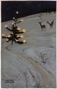 karda Noel ağacı