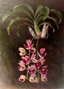  by Raymond Booth
