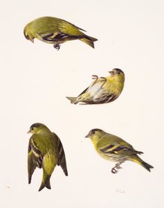  by Raymond Booth