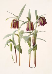  by Raymond Booth