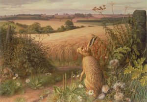  by Raymond Booth