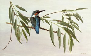  by Raymond Booth