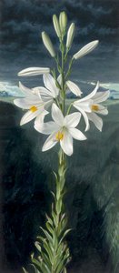  by Raymond Booth