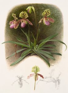  by Raymond Booth