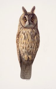  by Raymond Booth