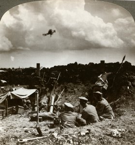 Siperlerdeki havanlar, Birinci Dünya Savaşı, 1914-1918.