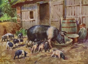 My Farm için İllüstrasyon (renkli lito) by Reginald Mills