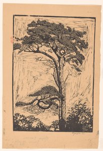 Çam Etude de pin (nesne üzerindeki başlık) by Reijer Stolk (signed by artist)