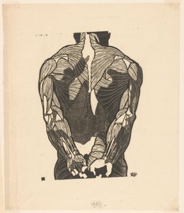Bir erkeğin sırt kaslarının anatomik çalışması by Reijer Stolk