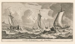 "Scholshuiten" veya "Pembe"