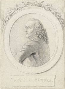 Profesör Petrus Camper