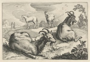 İki keçi ve iki atlı manzara Diversa Animalia Quadrupedia (seri başlığı)