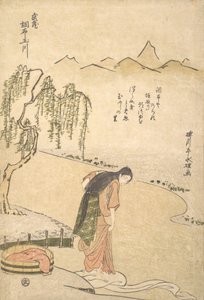 Chov Tama Nehri, Musashi