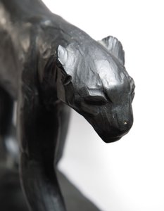 leopar yürüyüşçü