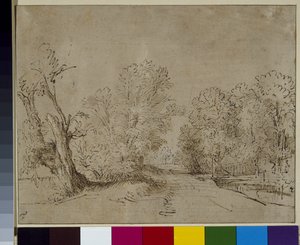 Ağaçlık bir yol, c.1650 (kağıt üzerine kalem ve mürekkep) by Rembrandt Harmensz. van Rijn