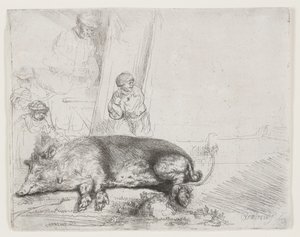 Domuz by Rembrandt van Rijn
