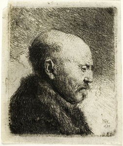 Sağ Profilden Kel Kafalı Adam: Sanatçının Babası () by Rembrandt van Rijn