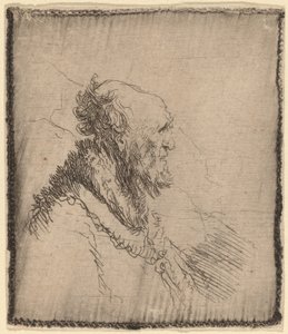 Profilde Kısa Sakallı Kel Yaşlı Adam, c. 1635. by Rembrandt van Rijn