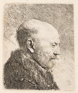 Profildeki kel adam (Rembrandt