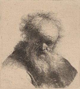 Dalgalı Sakallı ve Beyaz Kollu Yaşlı Adam Büstü, c. 1630. by Rembrandt van Rijn