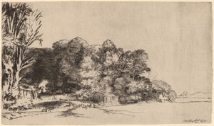 Bir Vista ile Ağaç Kümesi by Rembrandt van Rijn