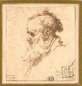 Soldaki profilde sakallı bir adamın başı by Rembrandt van Rijn