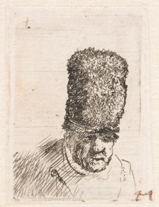 Yüksek kürk şapkalı yaşlı bir adamın başı by Rembrandt van Rijn