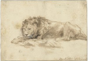Yalancı aslan (Liggende leeuw). 1650-59 by Rembrandt van Rijn