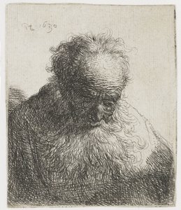 Akan Sakallı Yaşlı Adam, Sol Omuz Gölgesiz Yaşlı bir adamın Büstü Dökülen sakallı: baş öne eğik: sol omuz gölgesiz by Rembrandt van Rijn
