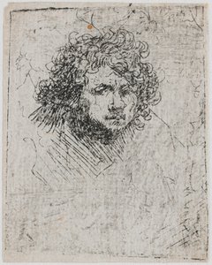 Otoportre, yaklaşık 1626-1629. by Rembrandt van Rijn