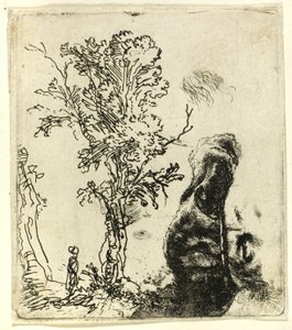 İki Etütlü Levha: Bir Ağaç ve Kadife Şapkalı Sanatçının Başının Üst Kısmı by Rembrandt van Rijn