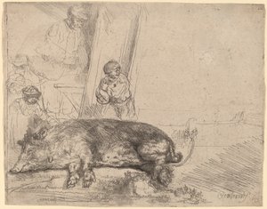 Domuz by Rembrandt van Rijn