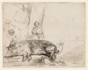 Domuz by Rembrandt van Rijn