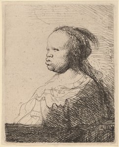 Beyaz Zenci by Rembrandt van Rijn