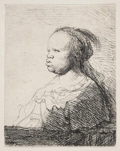 beyaz siyah by Rembrandt van Rijn