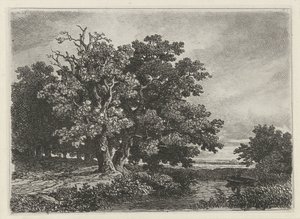 Bir tekne ile bir su birikintisi, ağaçlar by Remigius Adrianus Haanen