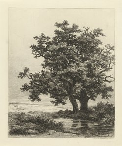Bir göl üzerinde iki meşe by Remigius Adrianus Haanen