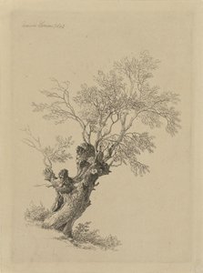Söğüt ağacı by Remigius Adrianus Haanen