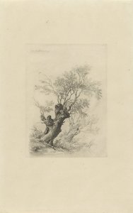 Söğüt ağacı by Remigius Adrianus Haanen