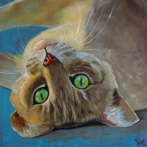 kedi şansı by Renate Dohr