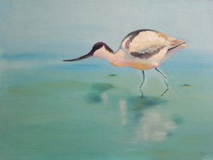 avocet