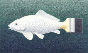 Brushfish, 2003, Kağıt üzerine renkli karakalem by Rene Boin