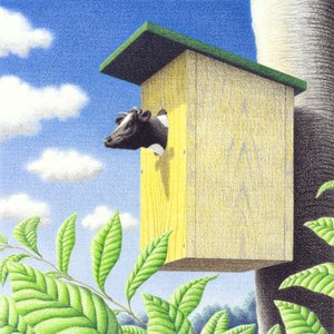 Guguk kuşu by Rene Boin