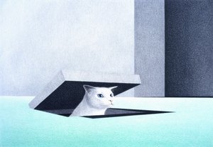 Kapak by Rene Boin