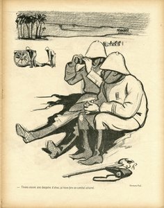 Le Canard Sauvage
