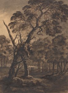 orman sahnesi by Rev. William Gilpin