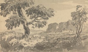 İki Ağaç ve Uçurumlu Manzara by Rev. William Gilpin