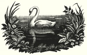 Hans Christian Andersen: Çirkin Ördek Yavrusu (taş) by Rex (after) Whistler